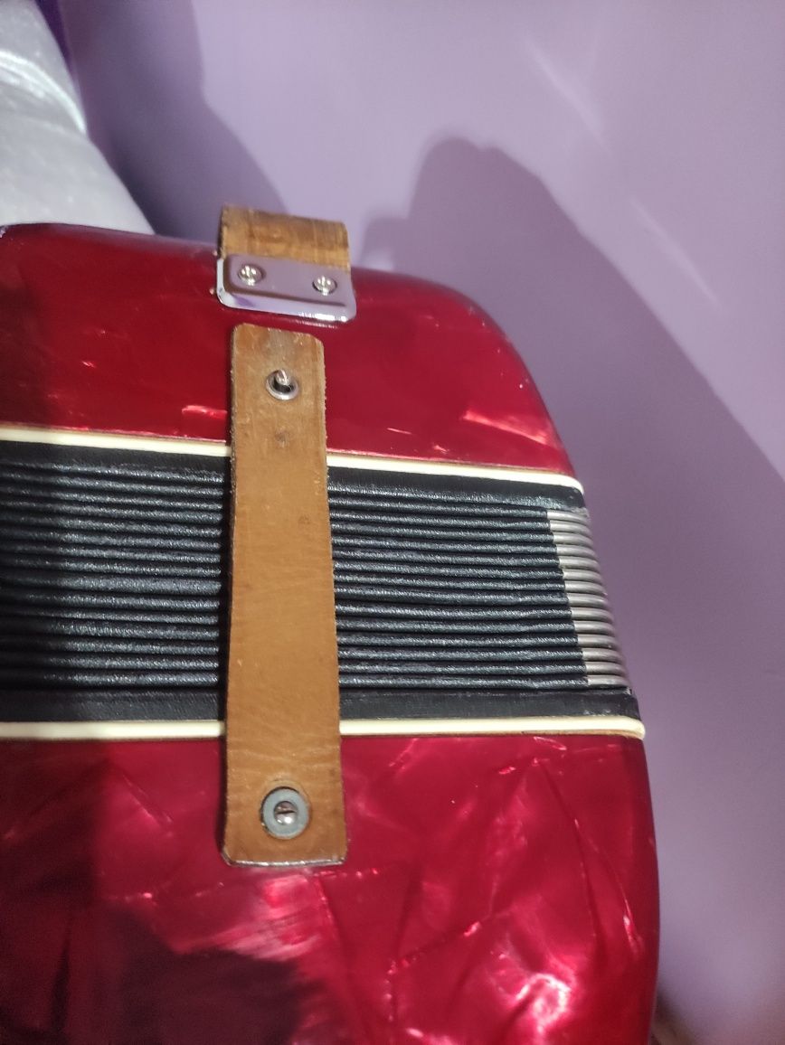 Acordeon bom preço