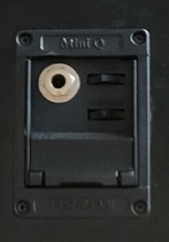 Fender Gitara elektroakustyczna