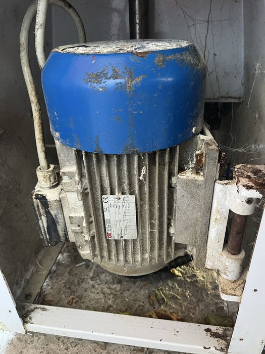 Тістоміс італійський 60л