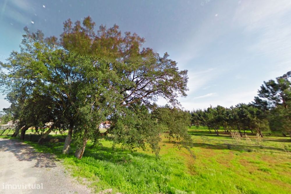 Terreno, Vilarinho do Bairro | ERA Imobiliária