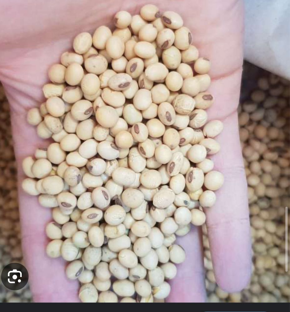 Продам Сою 40т можлива доставка