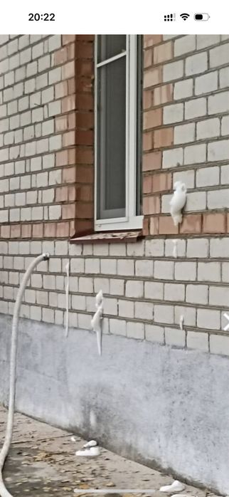 Утепление  жидким пенопластом(Пеноизолом) Экоизолом