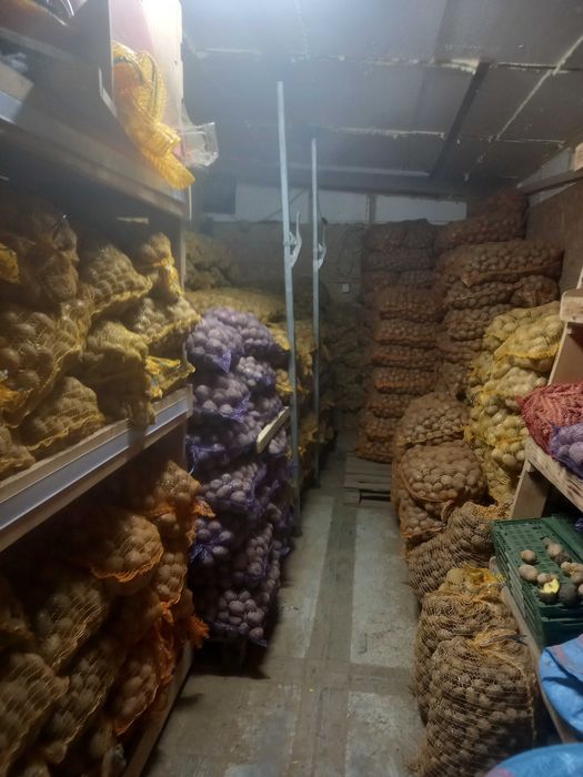 Zboże Pszenica Owies Ziemniaki