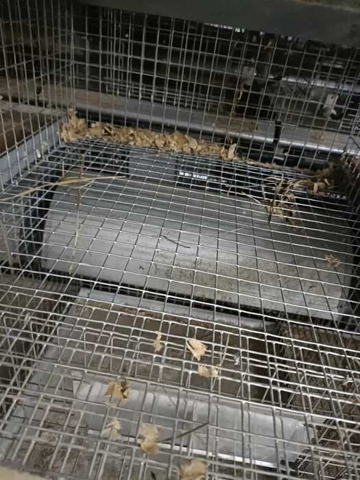 Klatki hodowlane dla szynszyli, królików, regał na kółkach wyposażony