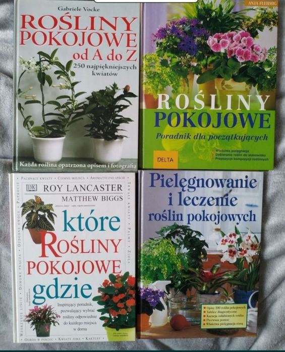 Pielęgnowanie roślin pokojowych. Rośliny doniczkowe. Kwiaty w domu
