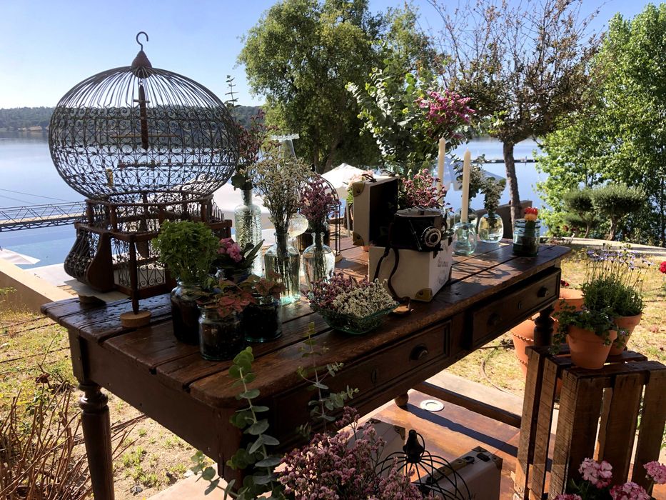 Gaiola de antiquário para decoração