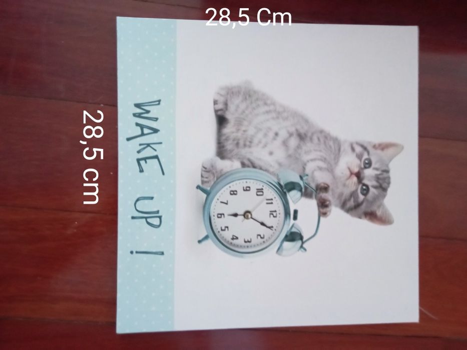 Telas de gatinhos