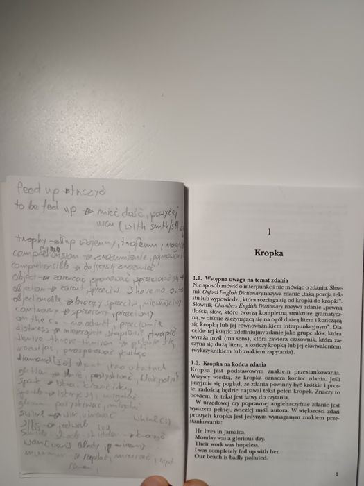 Philip Wilson Przewodnik po interpunkcji angielskiej