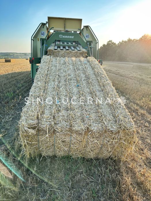 Пшенична солома в квадратних тюках