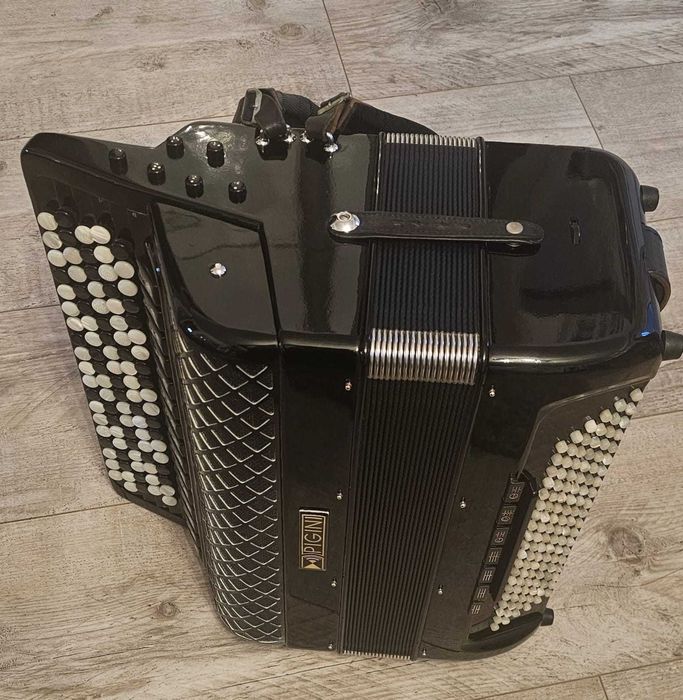Akordeon Guzikowy 120 PIGINI MASTER B/58