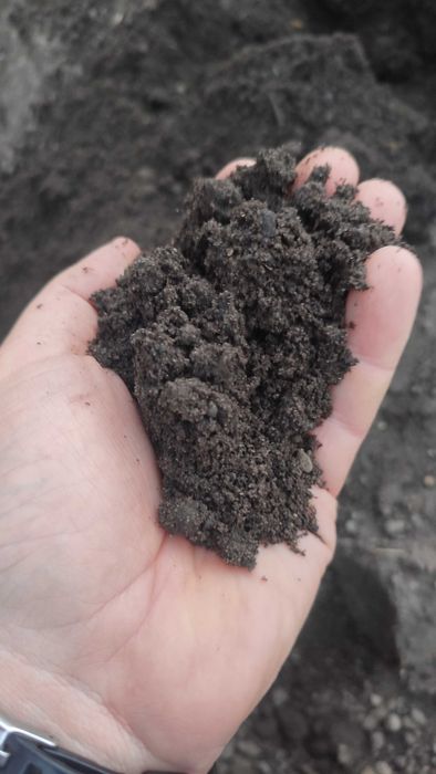 Czarnoziem siany 50 zł/t.  75zl/m3