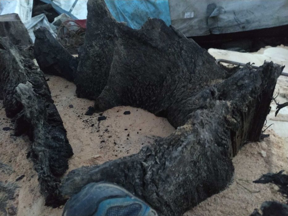 Korzeń do akwarium czarny dąb