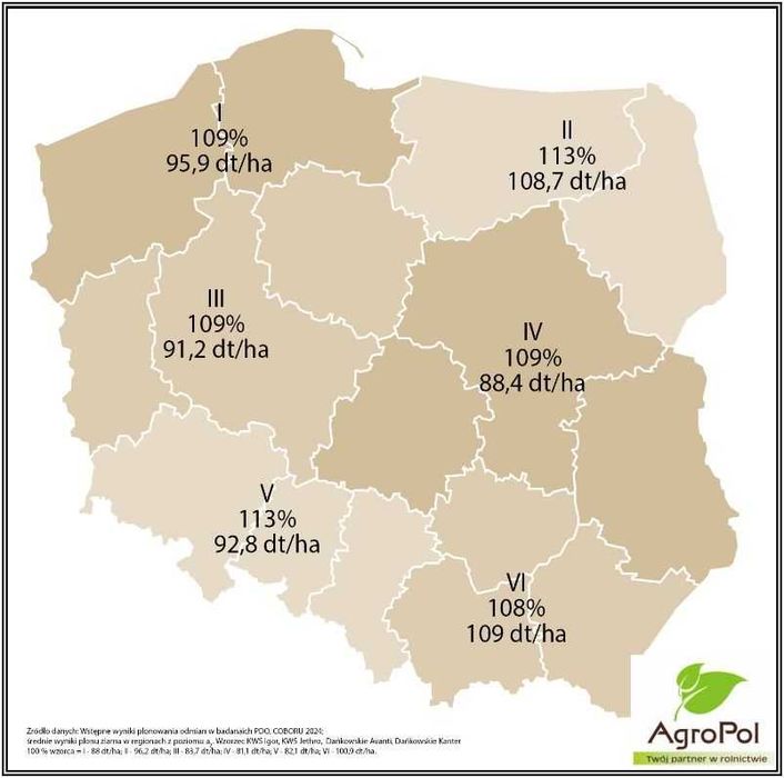 Żyto KWS IGOR - Plon i Zdrowotność ( Gilmor Serafino Fidagor Erebor )