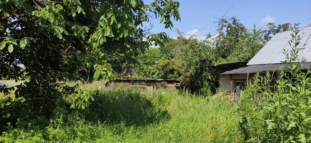 (3) Продам земельну ділянку в с. Сальник 0925