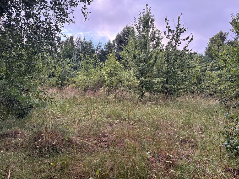 Dzialka rekraacyjna Wielki Podleś .Kaszuby