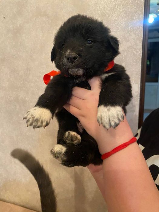 Хлопчики в добрі ручки