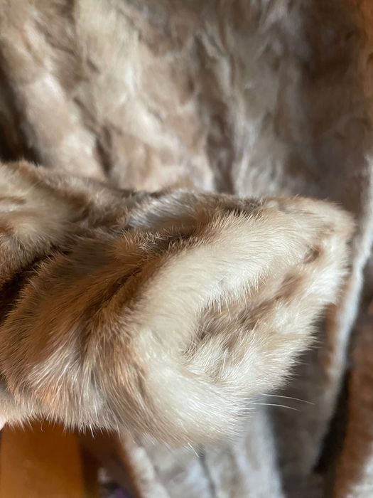 Norki z lisem idealne