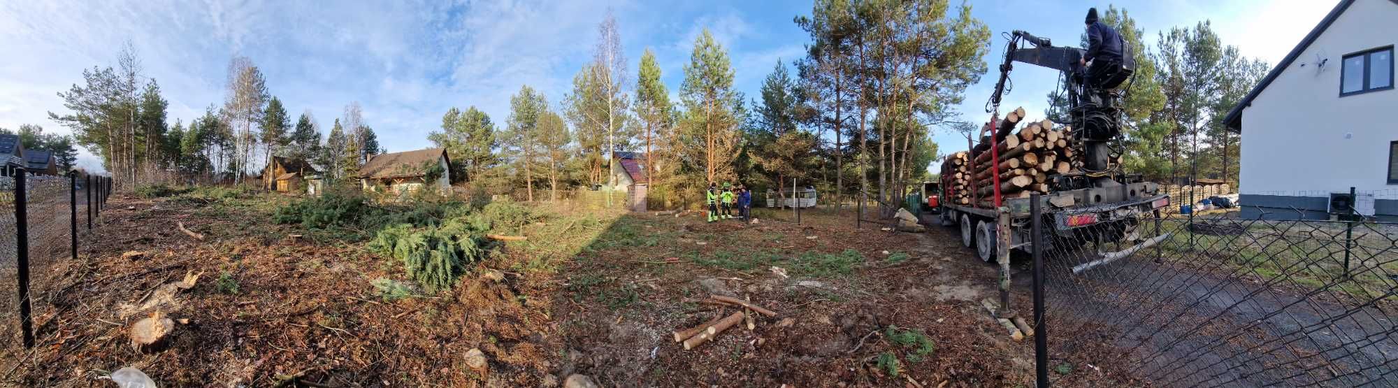 Wycinka drzew karczowanie frezowanie pni rębak Skup sprzedaż drewna
