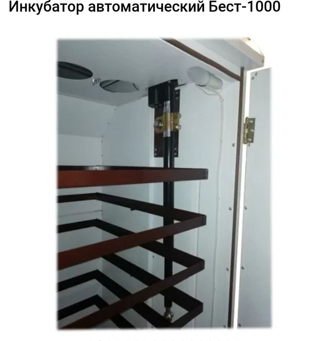 Инкубатор автоматический! Бест 10 00