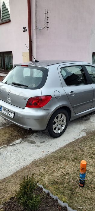 Peugeot 307 1.6 B+G