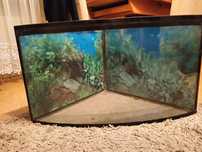 Akwarium terrarium