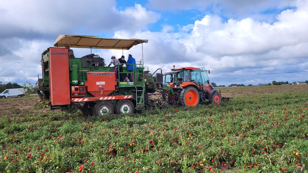 Kombajn Guaresi G 91