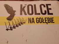Kolce na ptaki gołębie Avik R 180