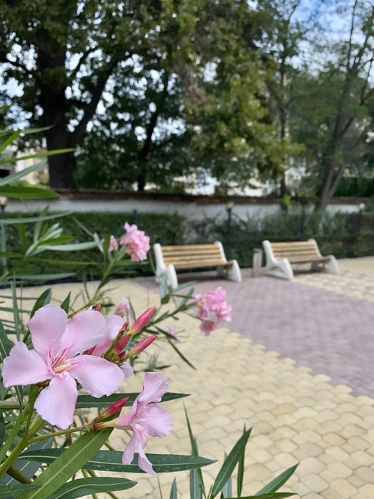 ‼️Аренда студии‼️БЕЗ КОМИССИИ‼️Солнечный берег