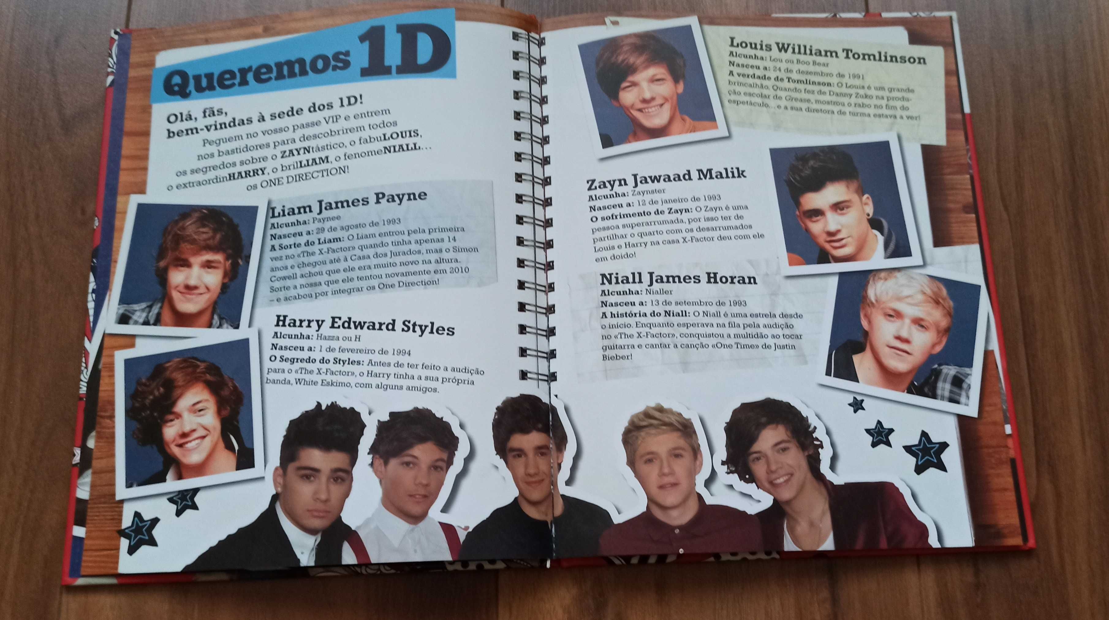Livro Tudo sobre os One Direction - 100% Não oficial