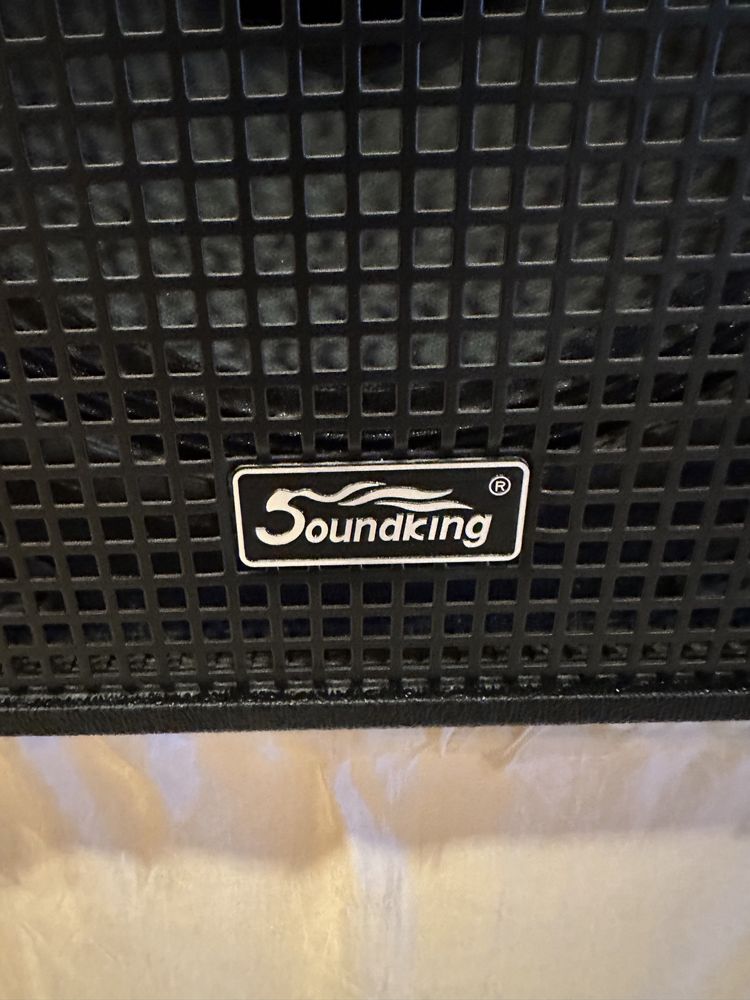 Колонки Soundking 2 шт.