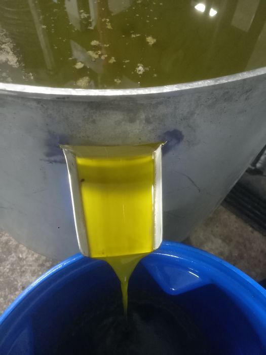 Azeite biológico caseiro.