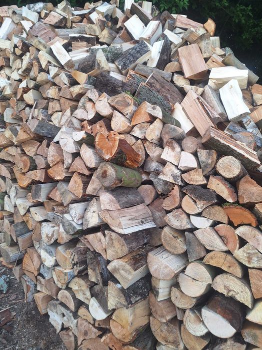 Drewno opalowe suche