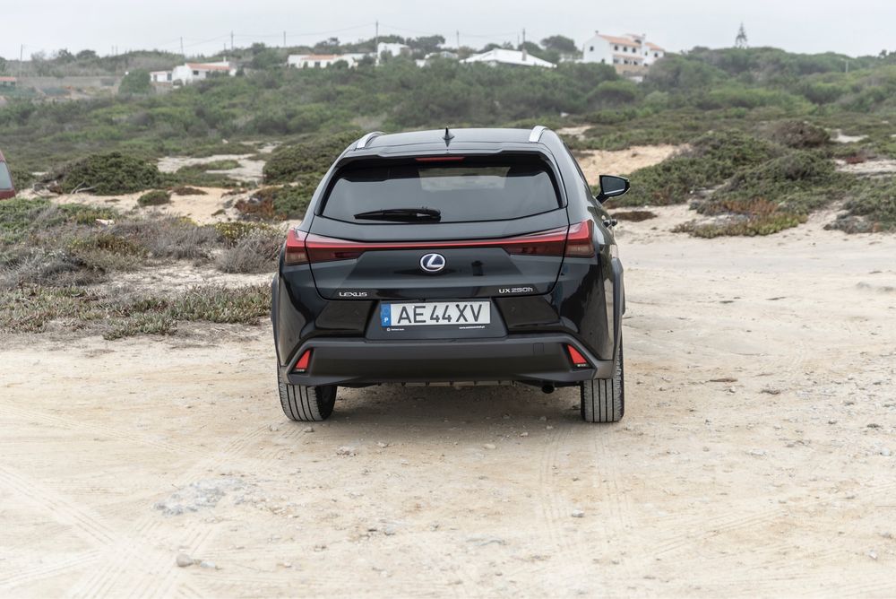 LEXUS UX 250h Nacional