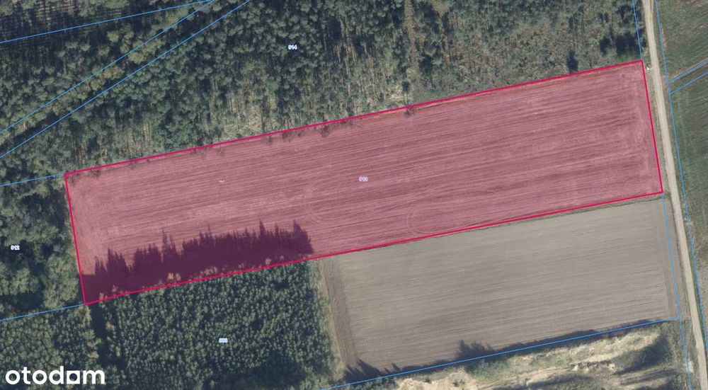 Działka rolna 1,82 ha – Kaszczor, woj. wielkopolskie