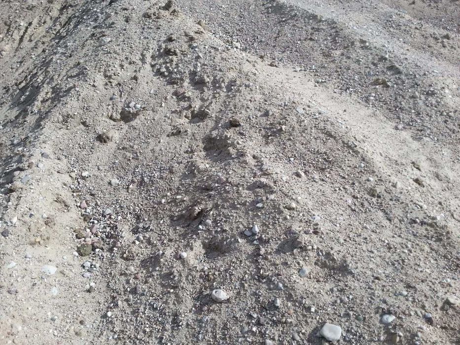 Piasek, Żwir, Pospółka, kruszywo tłuczeń Żwirownia drenarski Transport