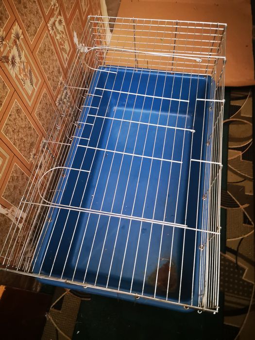 Продам велику клітку для кролика або морської свинки