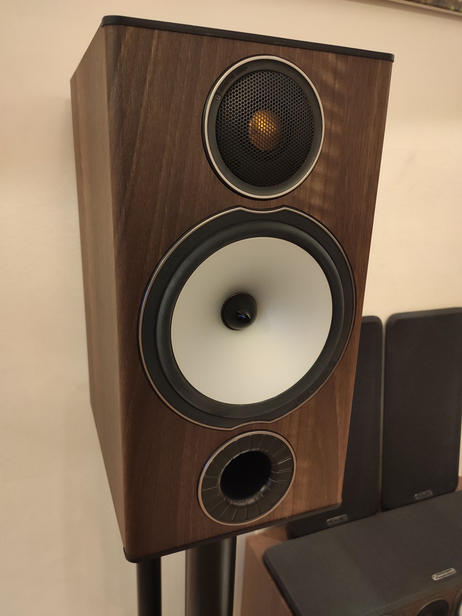 Vendo colunas Monitor Audio +  Cabos
