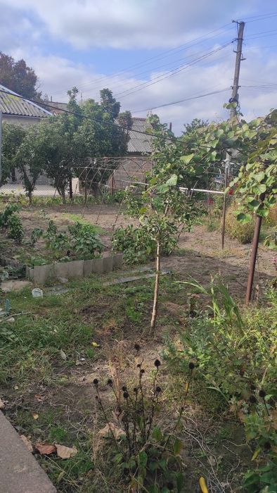 Продам дом в центре Верхнеднепровска