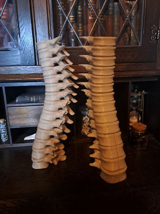 Świecznik kręgosłup Lupin Harry Potter Hogwart