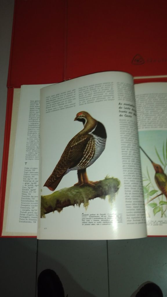 Vendo um conjunto de 5 livros da Naturama  antigos