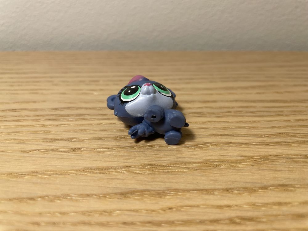 Miś koala littlest pet shop