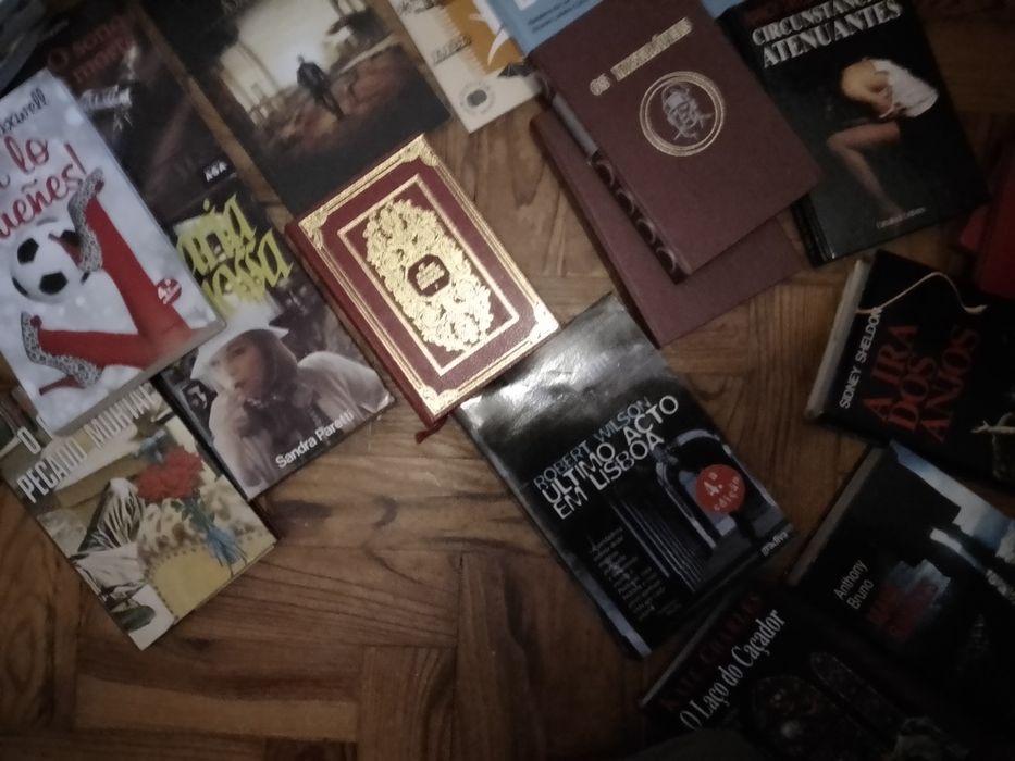 Saldos De livros: saramago e muitos outros antigos/Modernos  Desde 2E