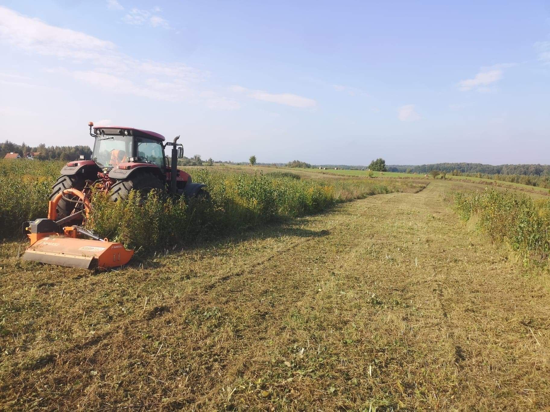 koszenie nieużytków mulczowanie karczowanie