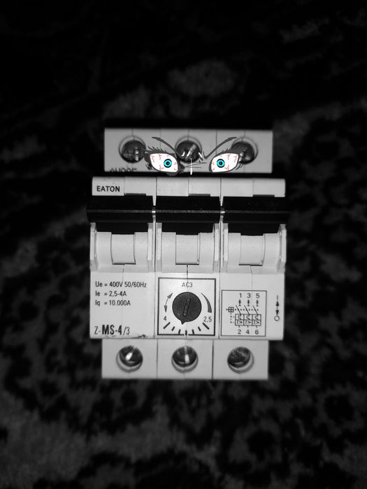 Автоматический выключатель защиты двигателя Eaton Z-MS-4/3