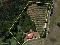 Quintinha com 14.000m2 de terreno com mina de água e árvores de fruto.