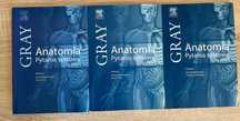 Anatomia Gray - pytania testowe