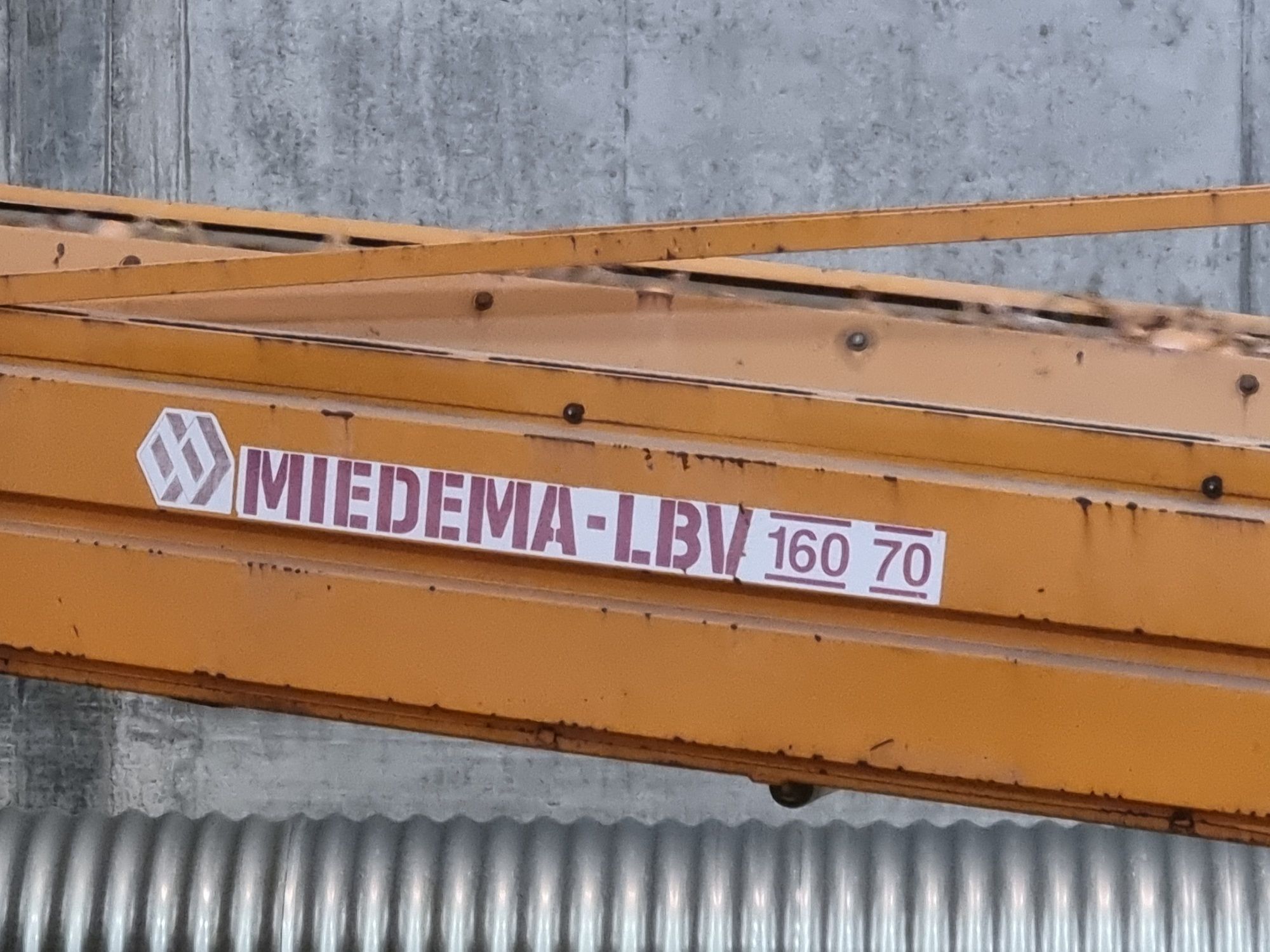 Pryzmownik midema cebula ziemniaki