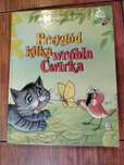 Przygód kilka wróbla ćwirka