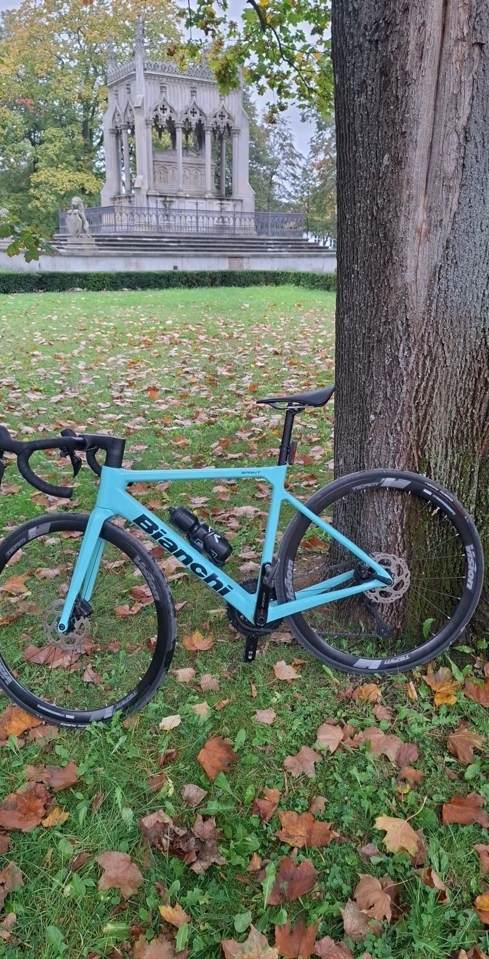 Bianchi sprint 53 na 105 di2