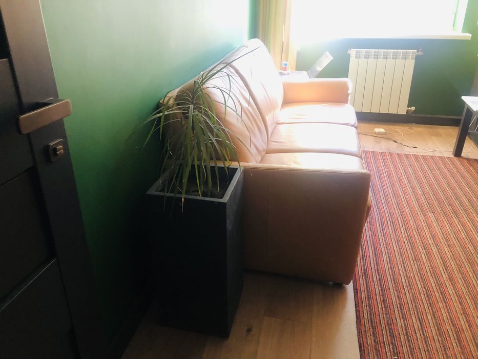 Шкіряний диван нерозкладний